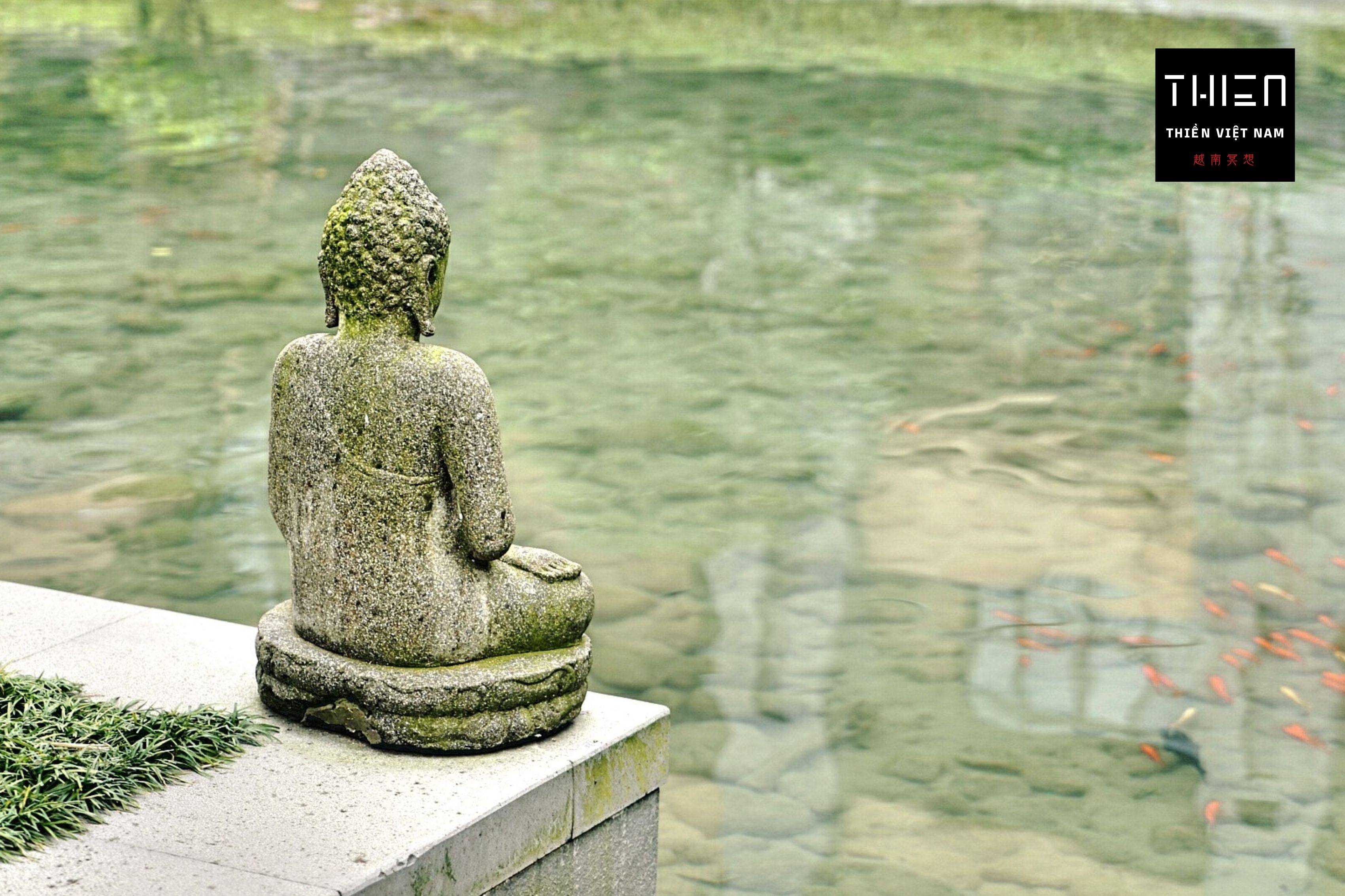 Lý do ra đời Thiền Việt Nam