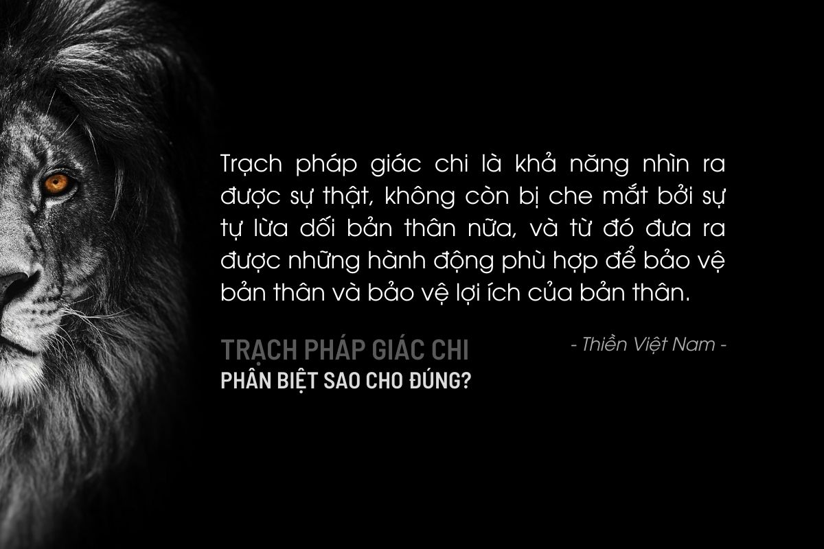 Trạch pháp giác chi là không tự lừa dối bản thân