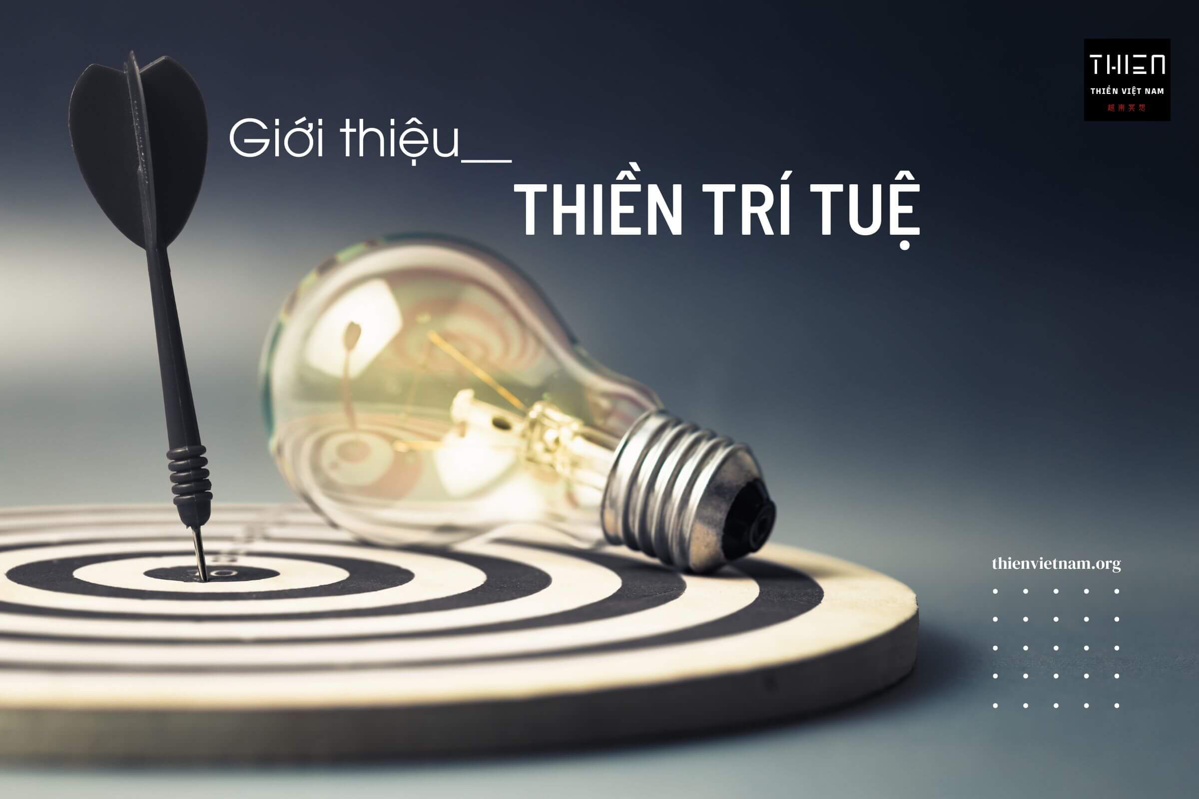 Giới Thiệu Thiền Trí Tuệ, Thiền trong khi đang tư duy, suy nghĩ giải quyết vấn đề