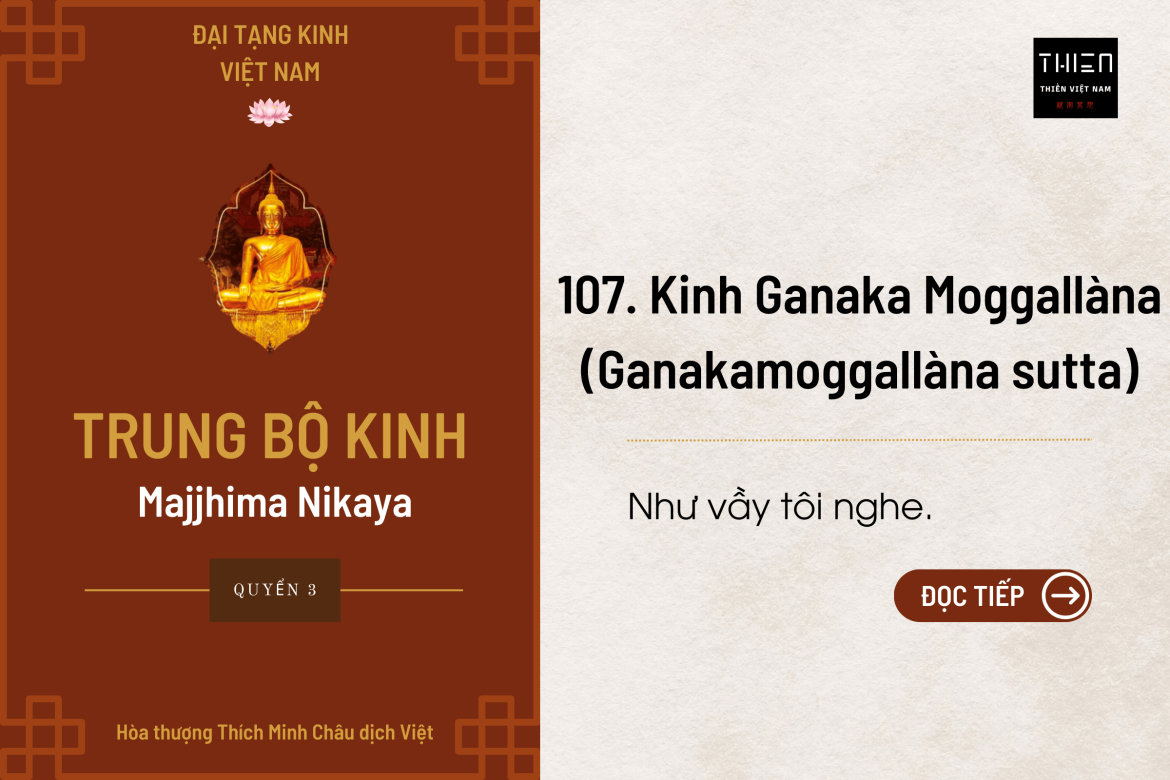 Tổng hợp bài kinh liên quan về hiện tượng sư Minh Tuệ (Phần 3)