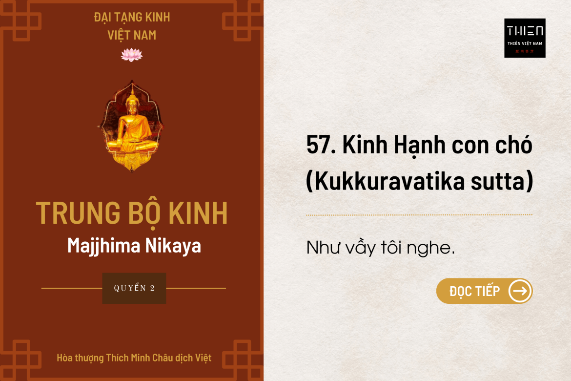 Tổng hợp bài kinh liên quan về hiện tượng sư Minh Tuệ (Phần 1)